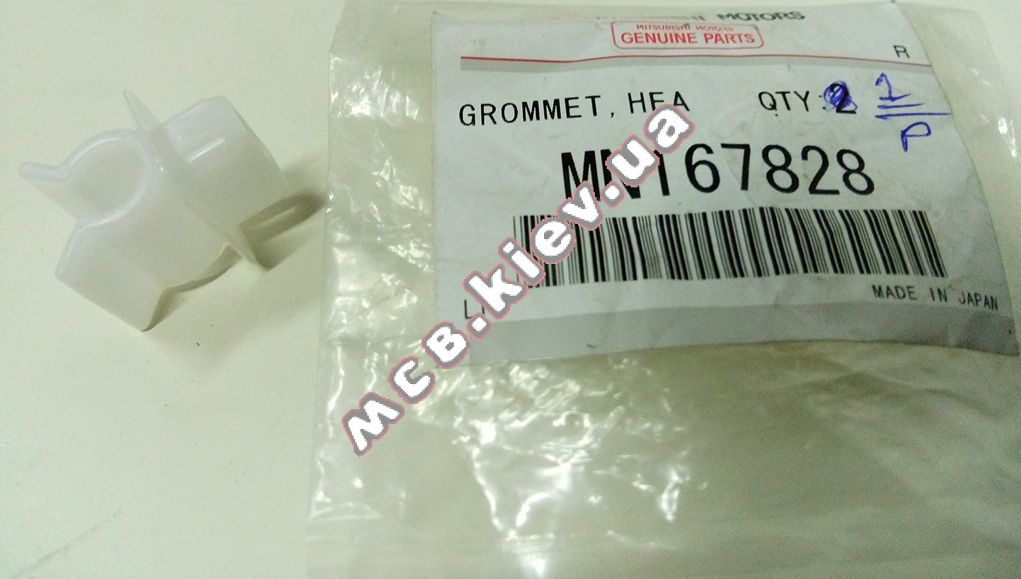  (=MR361004) MC MN167828